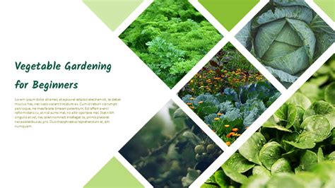 garden presentation template